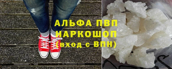 спиды Абаза