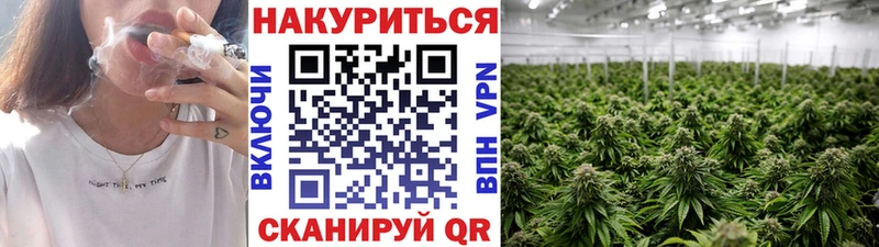 Каннабис сатива  цена   MEGA   Ухта 